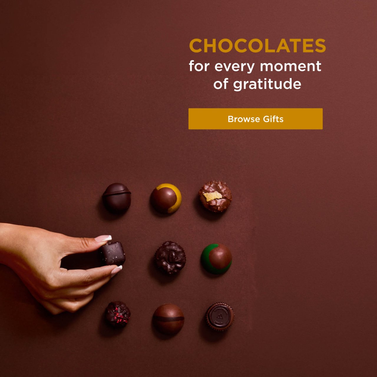 Rocky Mtn Chocolate