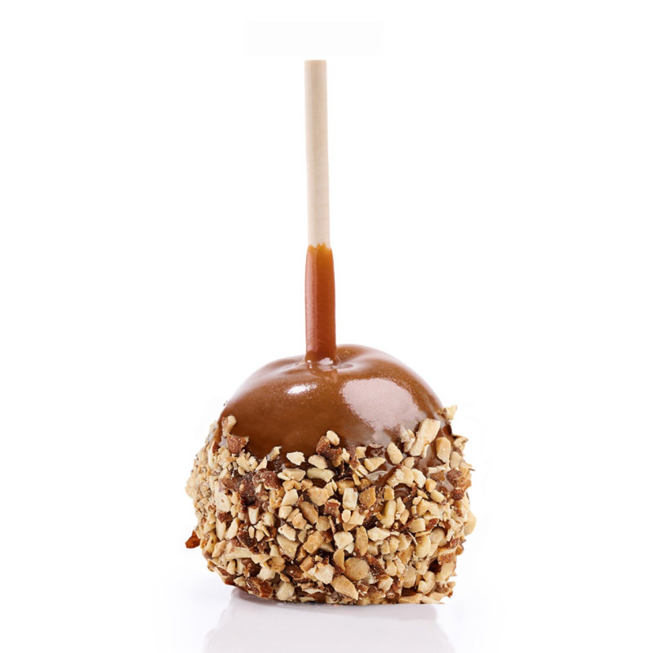Rocky Mtn Chocolate