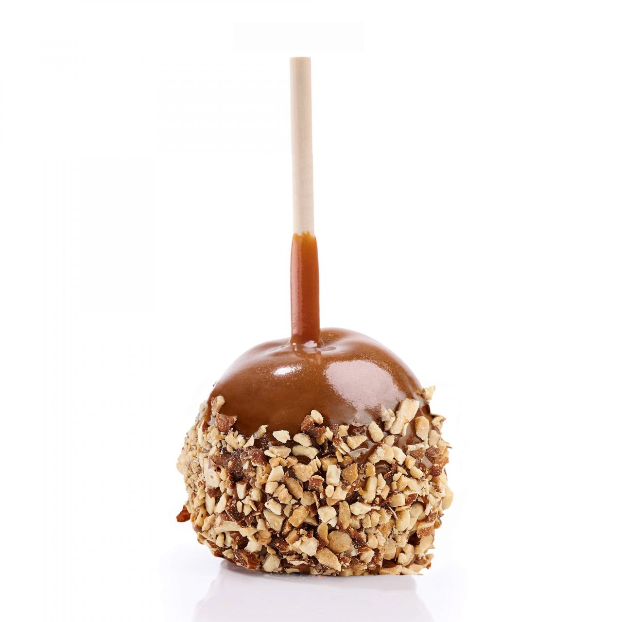 Rocky Mtn Chocolate
