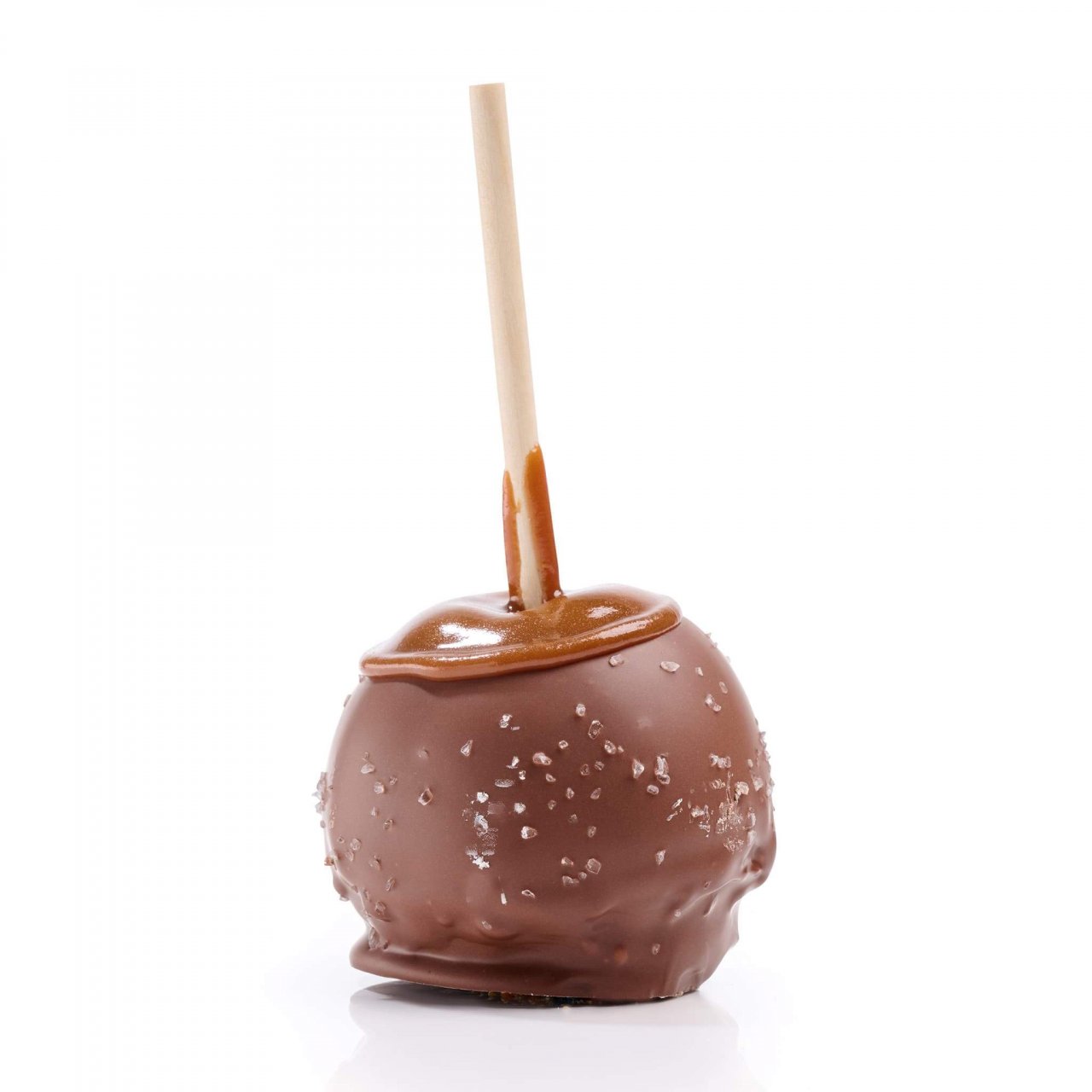 Rocky Mtn Chocolate