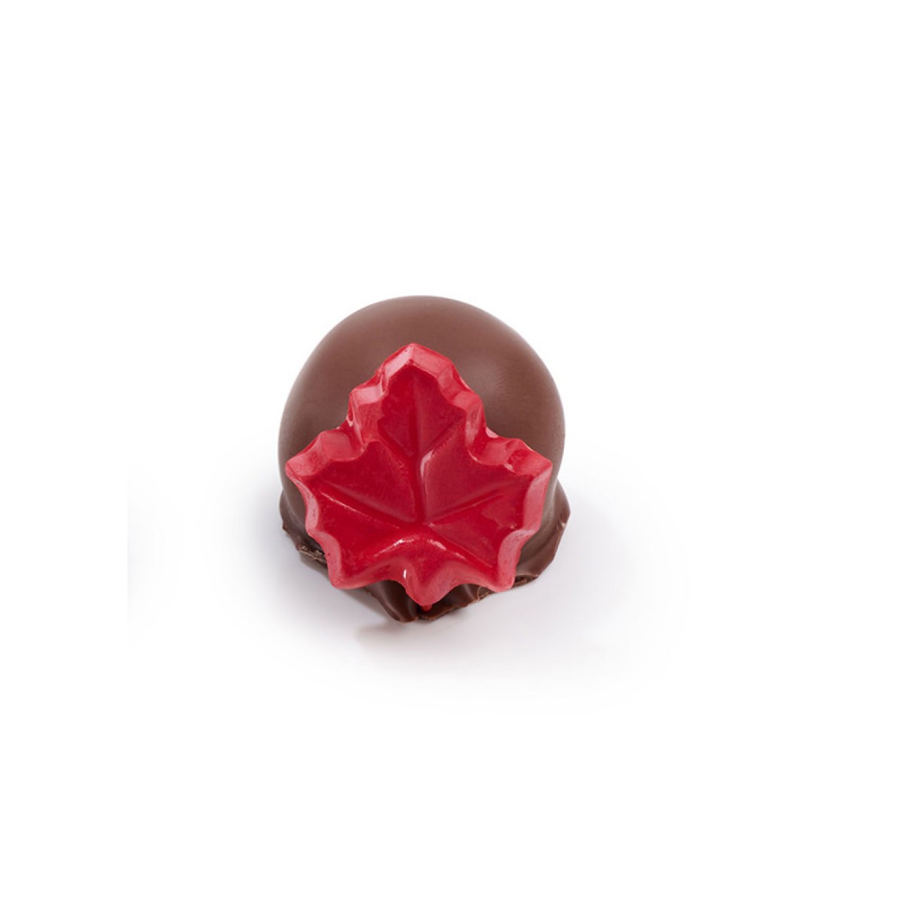 Rocky Mtn Chocolate