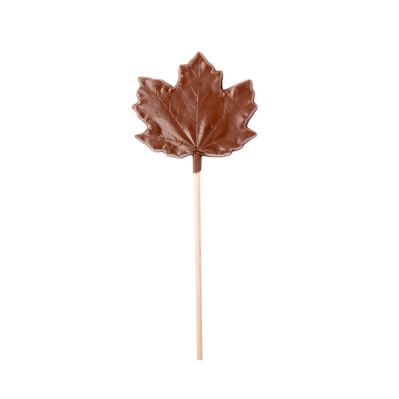 Maple Leaf Sucker
