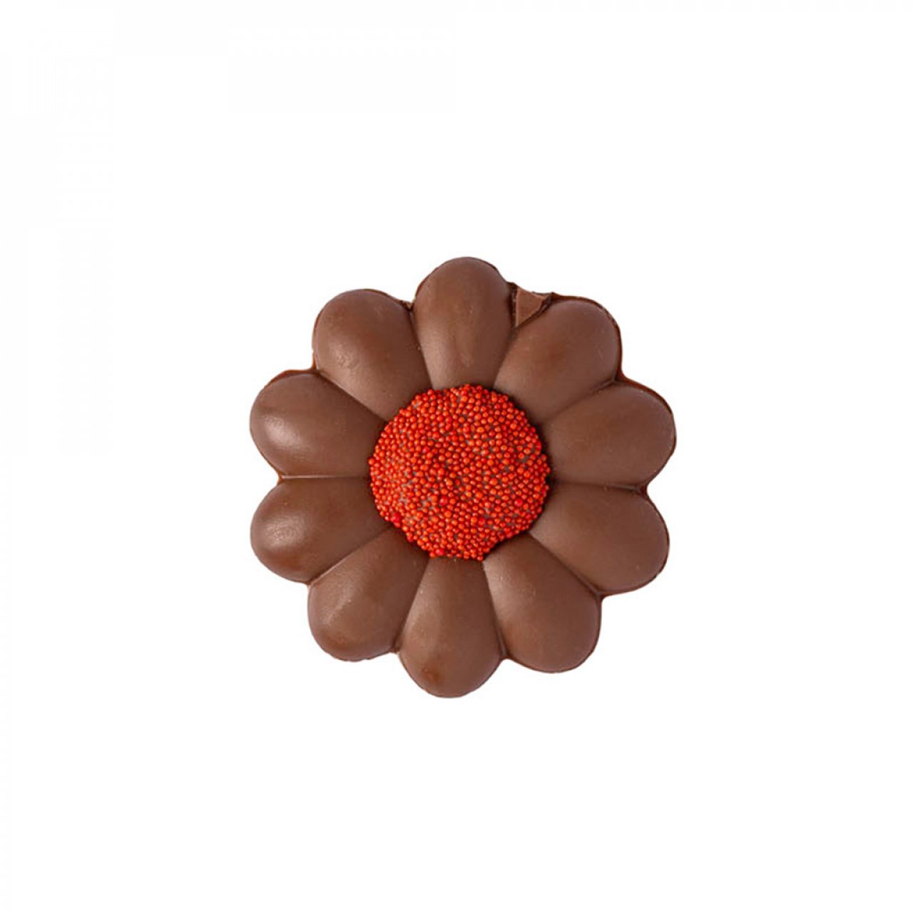 Rocky Mtn Chocolate
